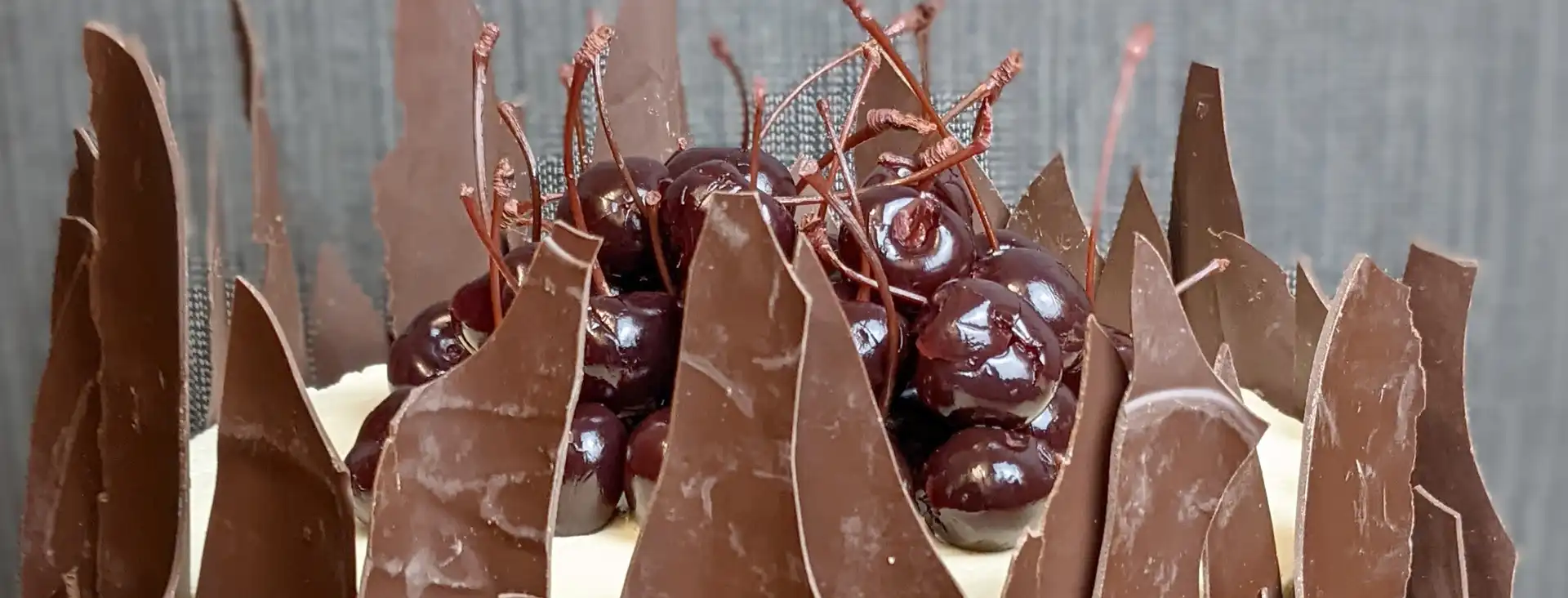 chocolate cherry cake closeup